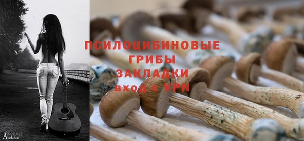 трава Армянск