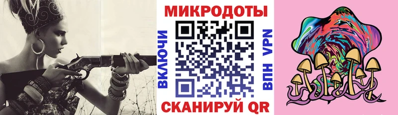 наркошоп  Фатеж  Галлюциногенные грибы Psilocybine cubensis 